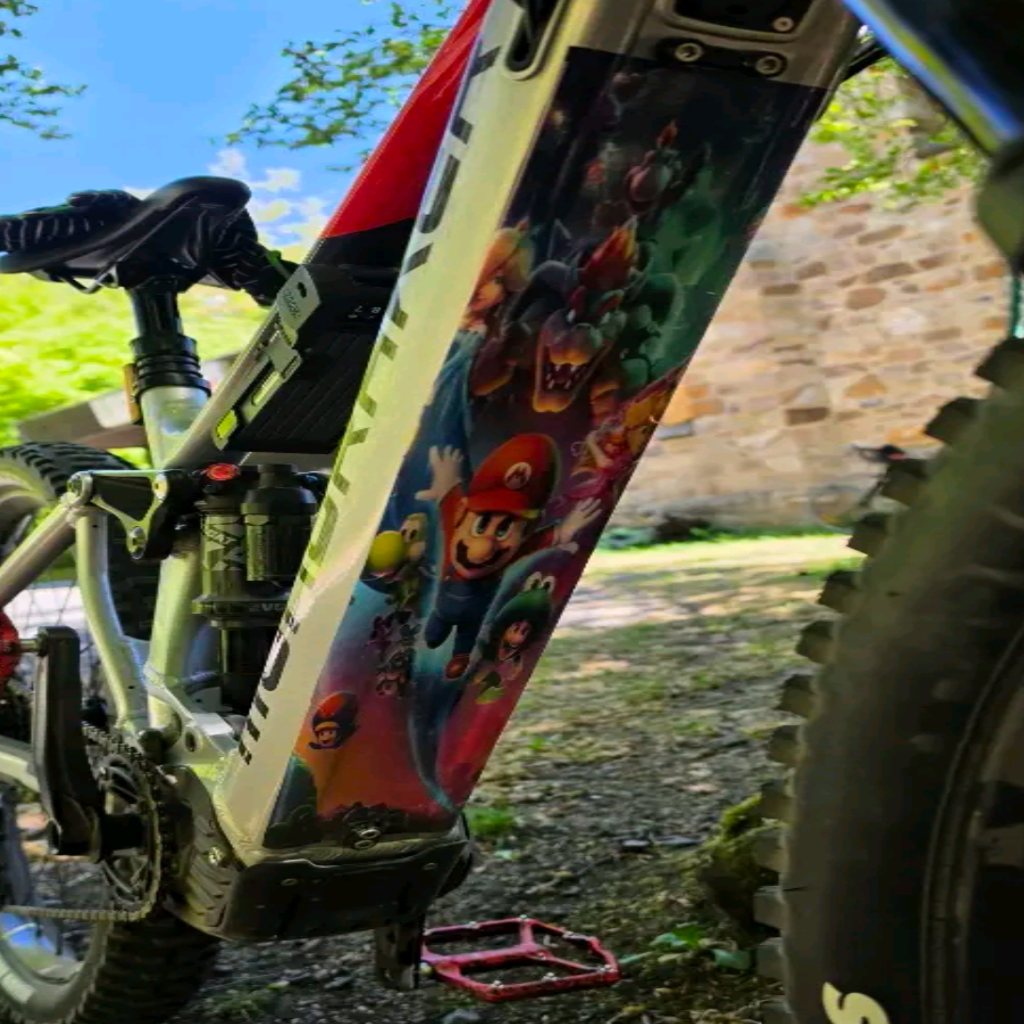 Wunschdesign E-Bike Akkudeckel für Alle E-Bikes – Bild 8